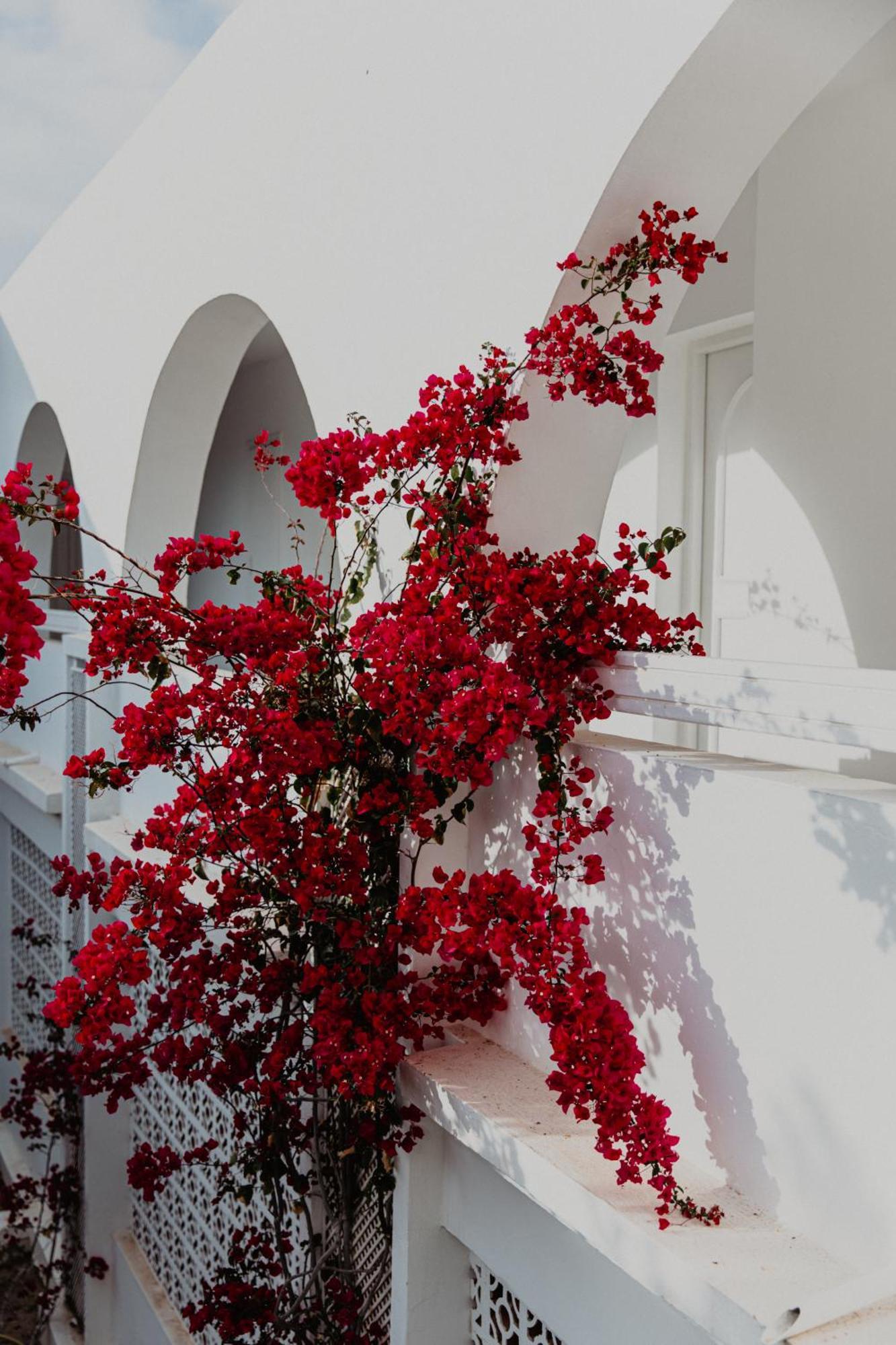 Hotel Bougainvillier Djerba Taguermess Zewnętrze zdjęcie