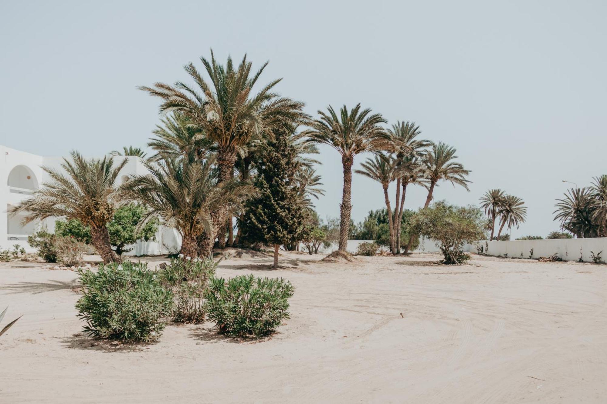 Hotel Bougainvillier Djerba Taguermess Zewnętrze zdjęcie